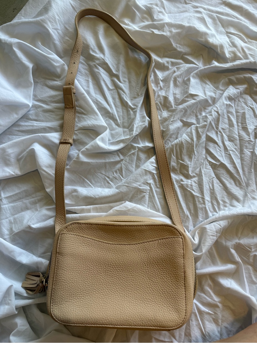 Cuyana Pebbled light blush Crossbody bag